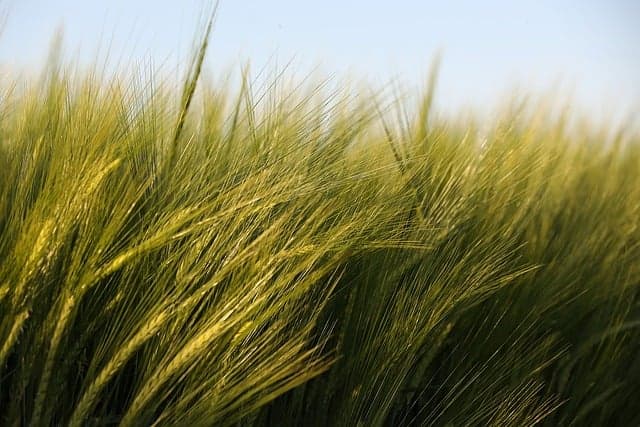 10 astuces pour bien choisir vos fournitures agricoles